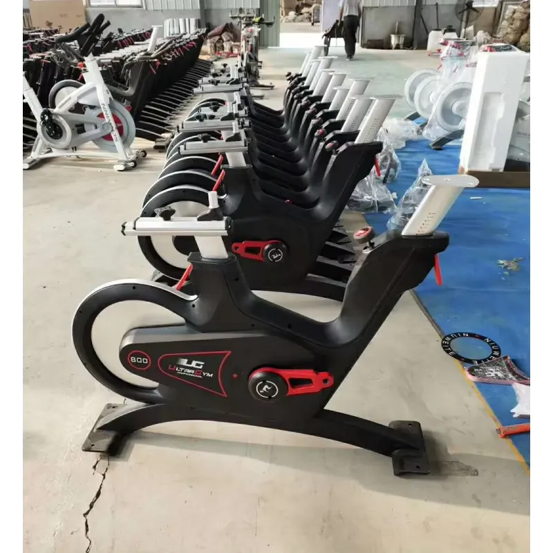 Sepeda Spinning Magnetik Profe - Exercise Bike Magnetic Resistance ulasan dan harga